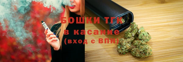 гашик Михайлов