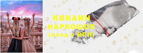 гашик Михайлов