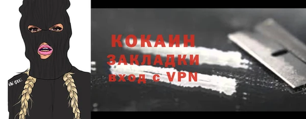 гашик Михайлов