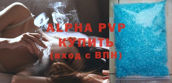 гашик Михайлов