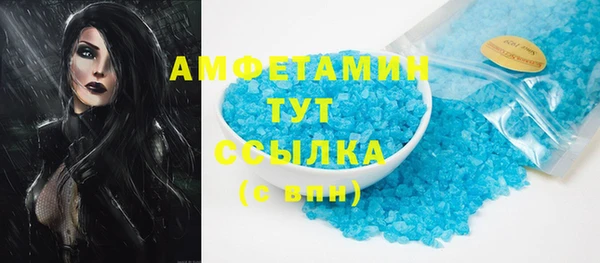 гашик Михайлов