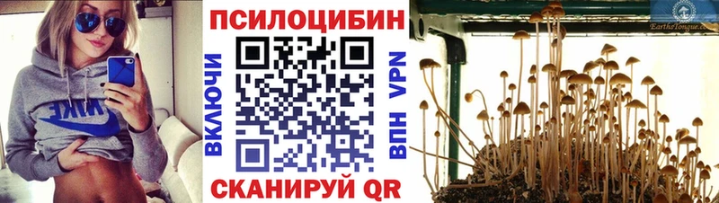 Псилоцибиновые грибы мухоморы  Инза 